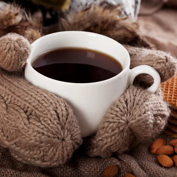 Cup of winter tea — Stock Photo, Image