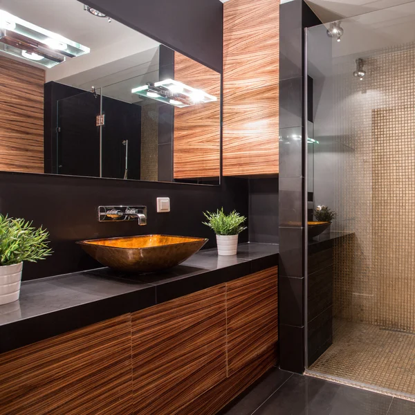 Banheiro com chuveiro extravagante — Fotografia de Stock