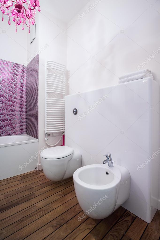 Contemporary toilet in luxury house