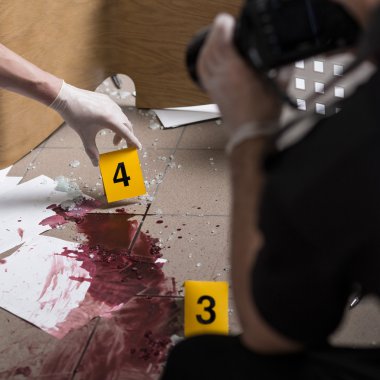 Polis memurları profesyonel