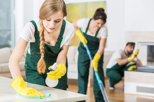 Alles moet schoon zijn als een fluitje! — Stockfoto