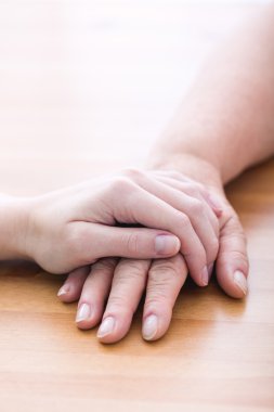 Jest destek ve bakım