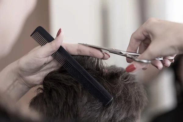 Hairdresser with scissors and comb — Stock Photo, Image