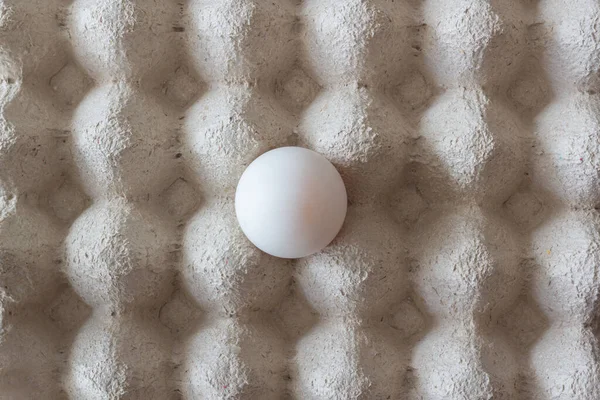 Kağıt kutuda beyaz ördek yumurtası, üst manzara.