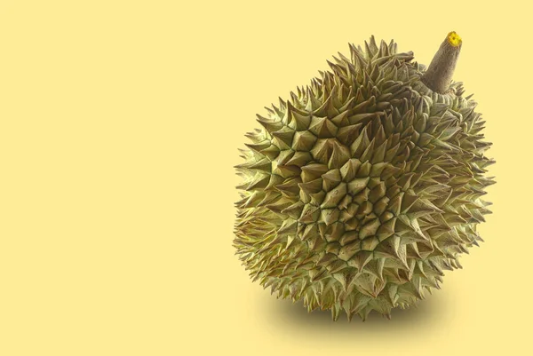 Sebuah Durian Pada Latar Belakang Kuning — Stok Foto