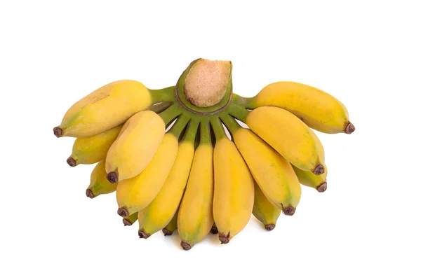 Cultivated Banana Bright Yellow Isolated White Background — Stockfoto