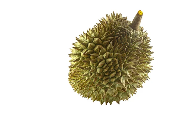 King Durian Fruit Isolated White Background — Stok Foto