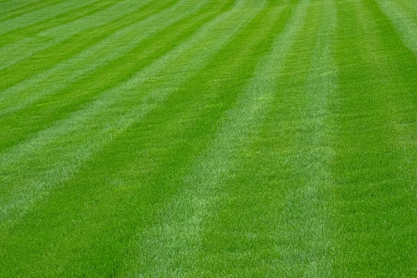 Çim tarlası şeritlerle süslenmiş..