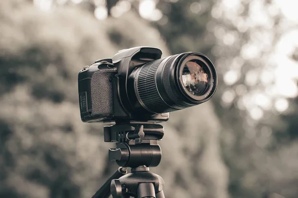 Una Cámara Canon Trípode Está Disparando Bosque — Foto de Stock