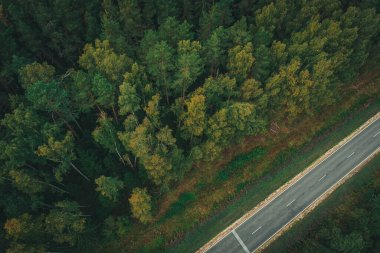 Çam ormanında yol boyunca uçan kuadkopter..