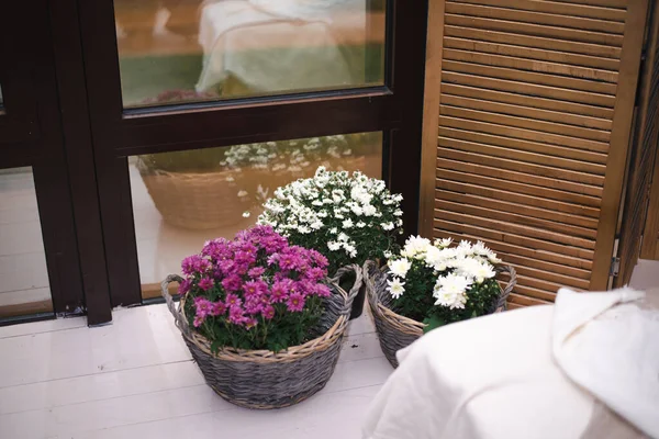 Panoramik pencereleri ve üç sepet çiçekli ahşap panjurları olan bir odanın içinde..