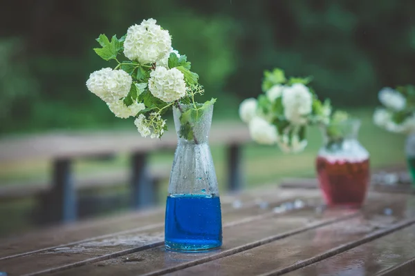 Vaser, glas med vita hortensior och färgat vatten på våta träbord i regnig dag. Fartyg med massa vita blommor med gröna blad på trädgård bänk i regniga park eller gård Stockbild