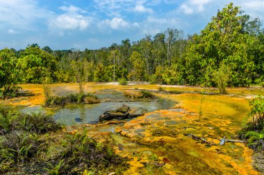 Khao Pra Bang Khram Wildlife Sanctuary, way to Emerald Pool aka Sa Morakot, tourist destination. National Park, Krabi, Thailand. Green tropical forest, Southeast Asia. Yellow and orange soil