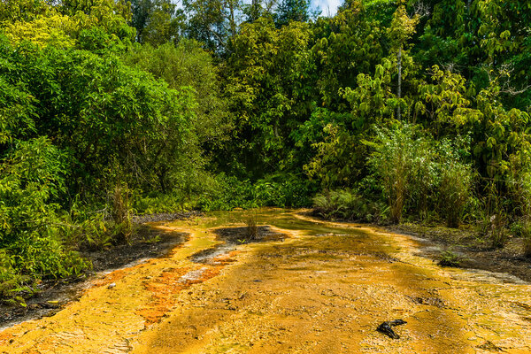 Khao Pra Bang Khram Wildlife Sanctuary, way to Emerald Pool aka Sa Morakot, tourist destination. National Park, Krabi, Thailand. Green tropical forest, Southeast Asia. Yellow and orange soil