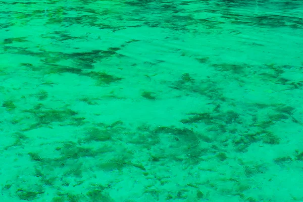 Khao Pra Bang Khram Wildlife Sanctuary, superficie di Emerald Pool aka Sa Morakot, destinazione turistica. Parco Nazionale di Krabi, Thailandia. Lago tropicale di colore verde, Sud-est asiatico — Foto Stock