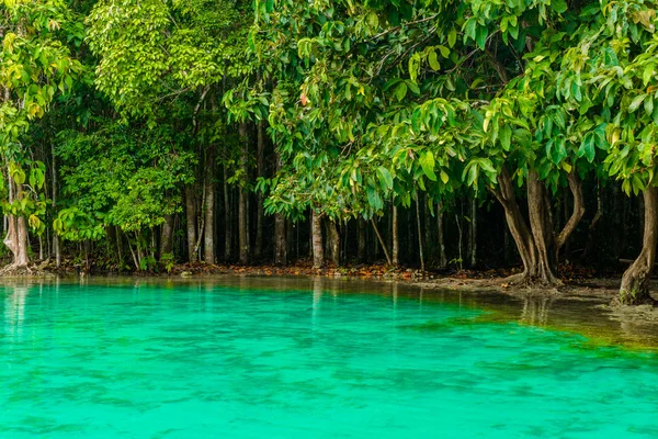 Emerald Pool aka Sa Morakot, Khao Pra Bang Khram Wildlife Sanctuary, Krabi, Thailandia. Parco nazionale, Krabi, Thailandia, destinazione turistica. Lago tropicale di colore verde, Sud-est asiatico — Foto Stock