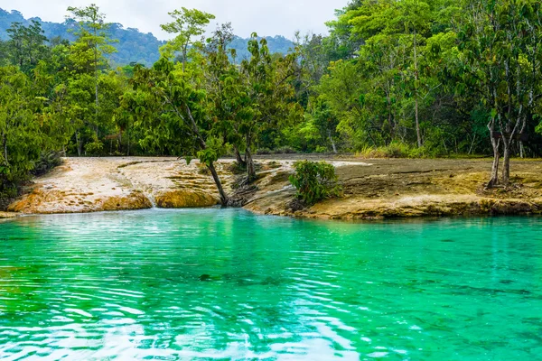 Emerald Pool aka Sa Morakot, Khao Pra Bang Khram Wildlife Sanctuary, Krabi, Thailandia. Parco nazionale, Krabi, Thailandia, destinazione turistica. Lago tropicale di colore verde, Sud-est asiatico — Foto Stock