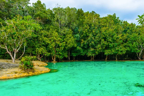 Emerald Pool aka Sa Morakot, Khao Pra Bang Khram Wildlife Sanctuary, Krabi, Thailandia. Parco nazionale, Krabi, Thailandia, destinazione turistica. Lago tropicale di colore verde, Sud-est asiatico — Foto Stock