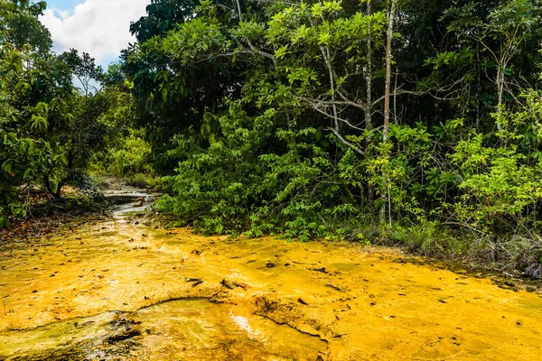 Khao Pra Bang Khram Wildlife Sanctuary, way to Emerald Pool aka Sa Morakot, tourist destination. National Park, Krabi, Thailand. Green tropical forest, Southeast Asia. Yellow and orange soil Stockafbeelding