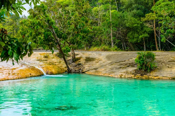 Emerald Pool aka Sa Morakot, Khao Pra Bang Khram Wildlife Sanctuary, Krabi, Thailand. National Park, Krabi, Thailand, tourist destination. Green color tropical lake, Southeast Asia Stockafbeelding