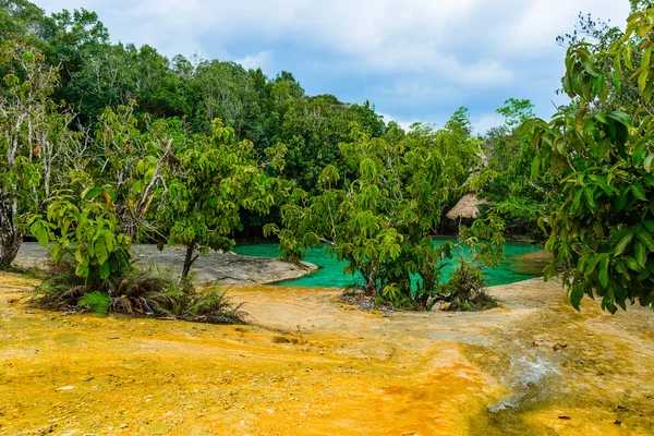Emerald Pool aka Sa Morakot, Khao Pra Bang Khram Wildlife Sanctuary, Krabi, Thailand. National Park, Krabi, Thailand, tourist destination. Green color tropical lake, Southeast Asia Royaltyfria Stockfoton