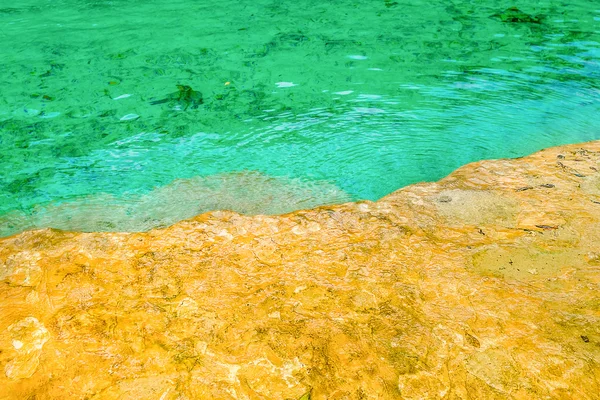 Khao Pra Bang Khram Wildlife Sanctuary, superficie de Emerald Pool aka Sa Morakot, destino turístico. Parque Nacional, Krabi, Tailandia. Lago tropical de color verde, sudeste asiático Imágenes de stock libres de derechos