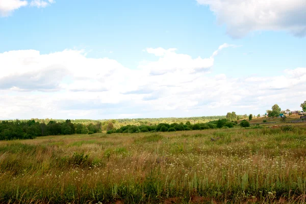 Sommar landsbygd — Stockfoto