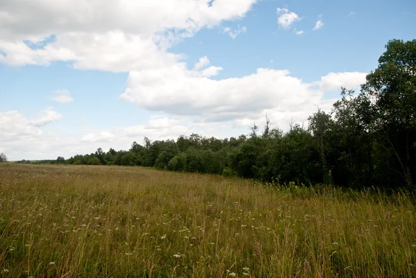 Estate paesaggio rurale — Foto Stock