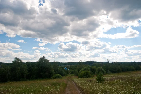 Verão paisagem rural — Fotografia de Stock