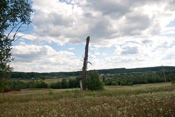 Ländliche Sommerlandschaft — Stockfoto