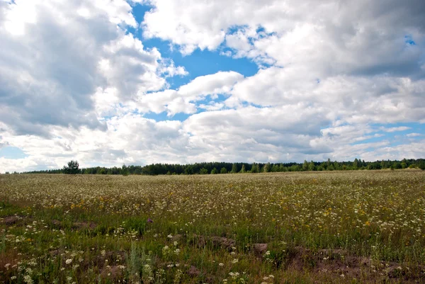 Estate paesaggio rurale — Foto Stock