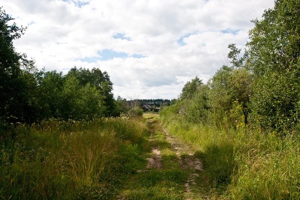 Letní venkovská krajina — Stock fotografie