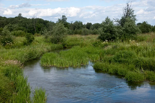 Ländliche Sommerlandschaft — Stockfoto