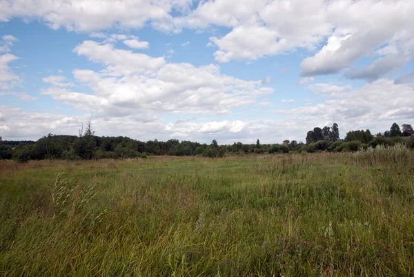 Ländliche Sommerlandschaft — Stockfoto