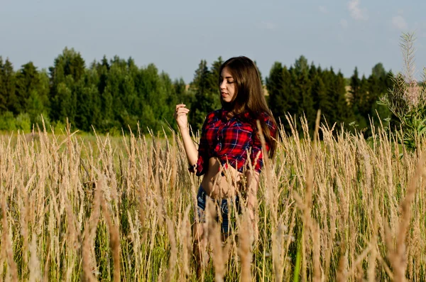 Lány sétál a mezőn — Stock Fotó