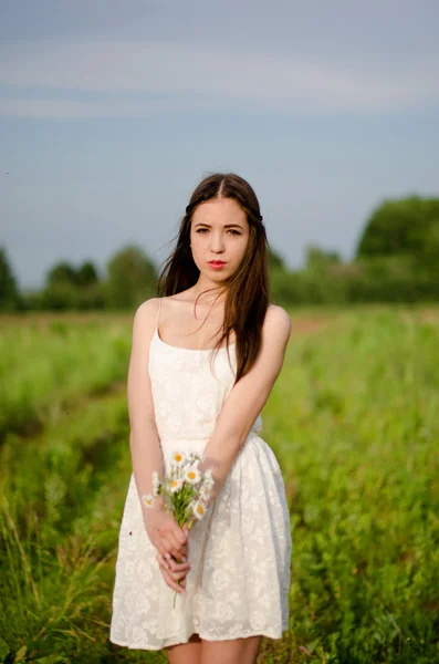 Schöne Junge Frau Posiert In Einer Sommerwiese Porträt