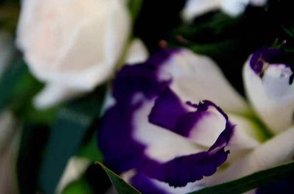 Ünnepi Dekoráció Esküvői Asztal Virágokkal — Stock Fotó