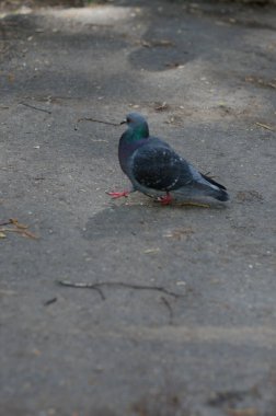Parktaki genç kız elinde bir kitapla