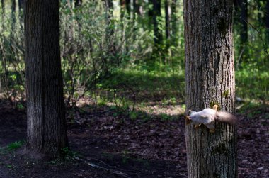 Parktaki genç kız elinde bir kitapla