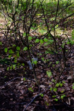 Parktaki genç kız elinde bir kitapla