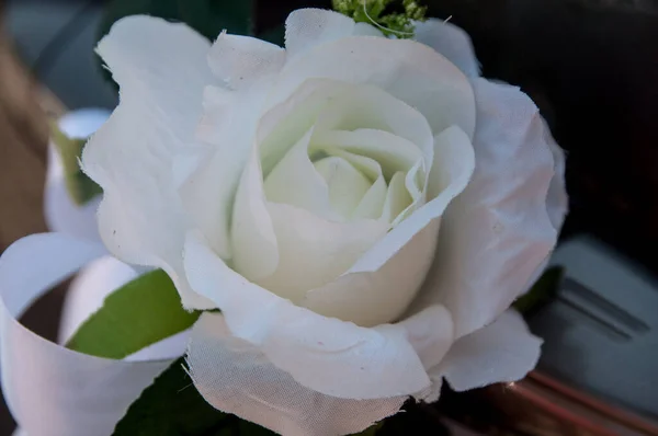 Dekoratív Virágokból Készült Gyönyörű Dekorációk — Stock Fotó