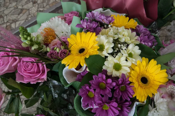 Gyönyörű Nyári Virágok Nőnek Területen — Stock Fotó