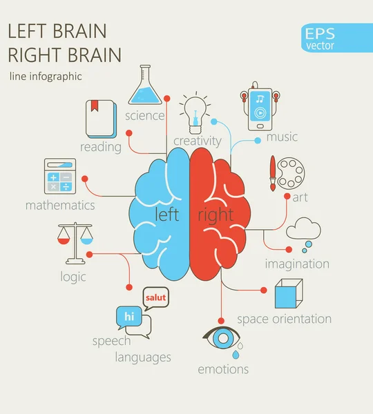 Concept du cerveau gauche et droit . — Image vectorielle