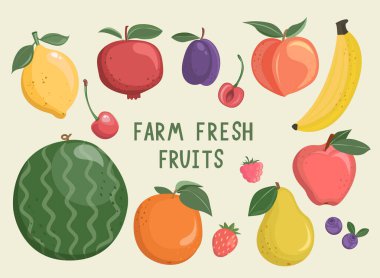 Büyük el yapımı meyve ve meyveler. Tatlı yaz lezzeti, portakal, limon, nar, kiraz, yabanmersini, çilek, tasarım ve dekorasyon için lezzetli sağlıklı yiyecekler. Çiftlik tazeliği. Vektör.