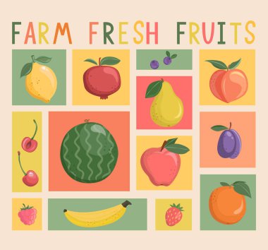 El yapımı meyve ve böğürtlenli izole edilmiş büyük kartlar. Tatlı yaz lezzeti, portakal, limon, nar, kiraz, yabanmersini, çilek, lezzetli sağlıklı yiyecekler. Şablon. Çiftlik tazeliği. Vektör.