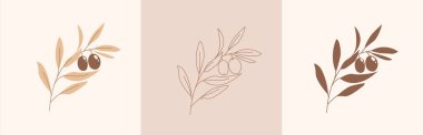 Set of modern abstract aesthetic isolated olive branch in boho style. Terracotta soft pastel colors. Boho contemporary wall decor.Home prints in interior. Vector illustration.