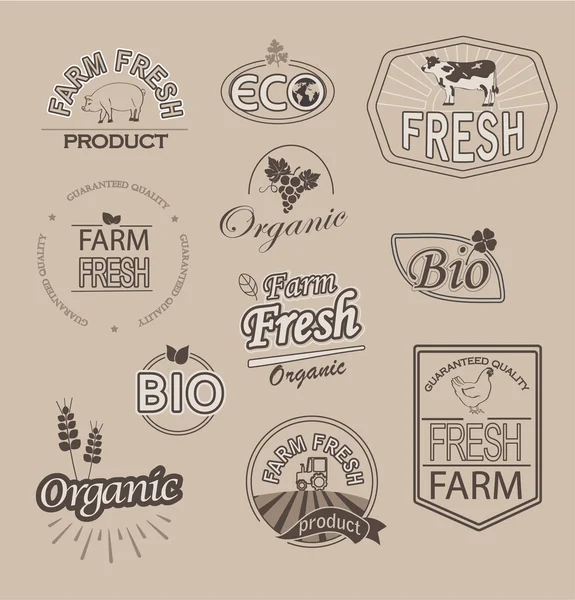 Insignias de alimentos frescos granja ecológica — Vector de stock