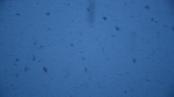 Sneeuwstorm — Stockvideo