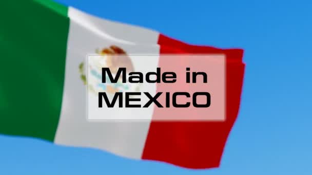 Hergestellt in Mexiko — Stockvideo