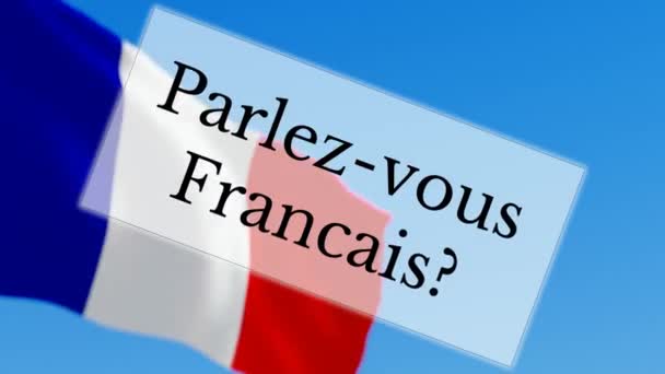 Parlez-vous Francais / Fransızca biliyor musun — Stok video